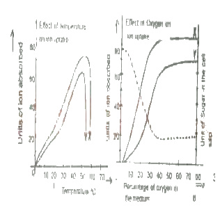 Which of the following conclusions cannot be drawn from the graphs? 
