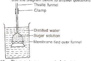 After an hour, the level of water in the thistle funnel will
