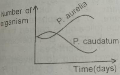 The type of interaction shown is referred to as
