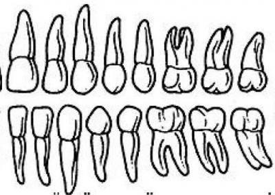 The structure is adapted for
