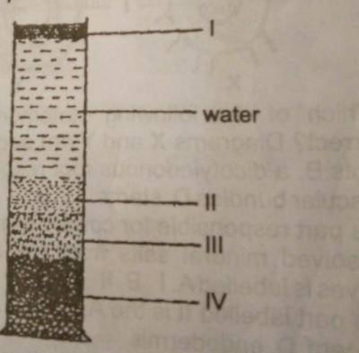 The organic component of the soil is labelled
