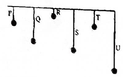 In the diagram shown, which of the simple pendulum will resonate with P when set into oscillation?



