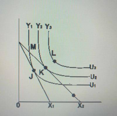 From the graph above, the consumer is at equilibrium at point
