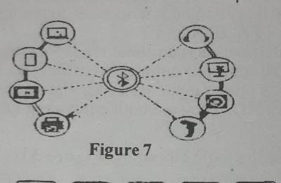 The type of network represented in Figure 7 is called 
