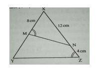 In the figure below, /MX/ = 8cm, /XN/ = 12cm, /NZ/ = 4cm and ∠ XMN = ∠ XZY. Calculate /YM/
