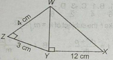 In the diagram, ∠ZWZY and WYX are right angles. Find the perimeter of WXYZ.
