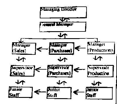 Use the diagram above to answer questions below

The downward arrows shows
