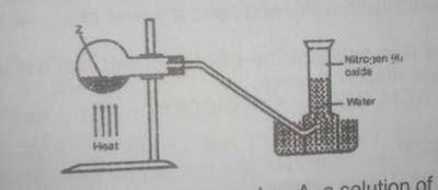 In the experiment above. Z can be
