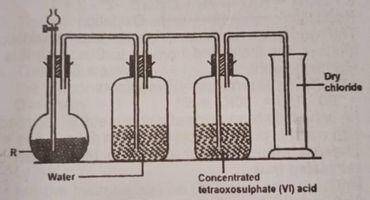 In the diagram above, R is a mixture of?
