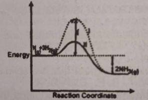 It can be deduced that the rate of the reaction?
