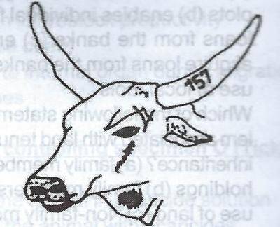 In the diagram above, what kind of identification method is illustrated?
