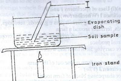 The purpose of the part labelled I in the experiment illustrated above is to
