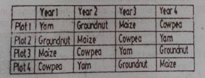 The cropping system illustrated in the table is?
