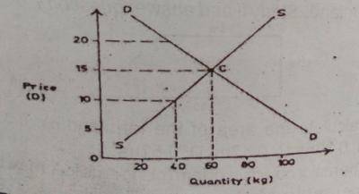 The part labelled C in the graph is the?
