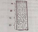 The soil horizon that is not supportive of the growth of tree crops is?
