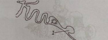 The main function of the part labelled I is

