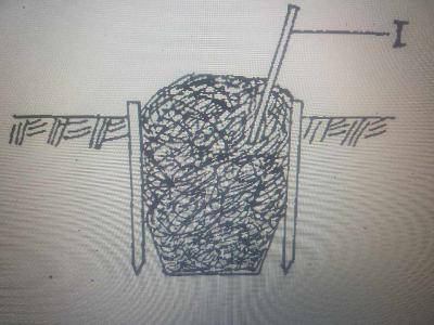 A material that could be used as starter in the method of compost making illustrated is
