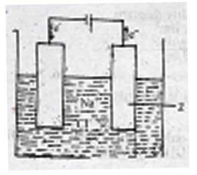 The figure above shows the electrolysis of molten sodium chloride. Z is the
