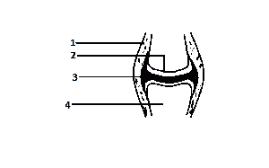 The part labelled 3 is the
