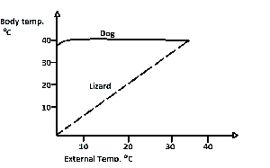 The graph above shows the relationship between the body and atmospheric temperature for dog and lizard.

What is the most appropriate deduction that could be made from the graph?
