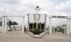 Baze University Undergraduate Courses