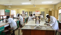 List of Undergraduate Courses Offered at Crawford University