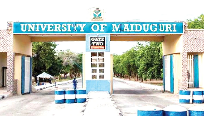 List of Universities in Borno State