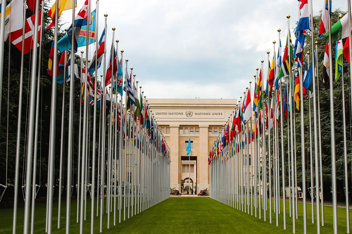 List of United Nations Specialized Agencies: Functions & Headquarters. Discover the 17 essential UN specialized agencies, their unique global roles, and the cities where their headquarters are situated. Explore how the United Nations works to promote peace, development, and cooperation worldwide.